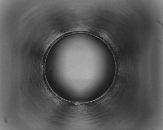X0000101121268200807031755
