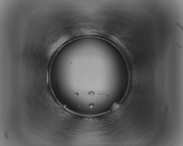 X0000101121269200807031755