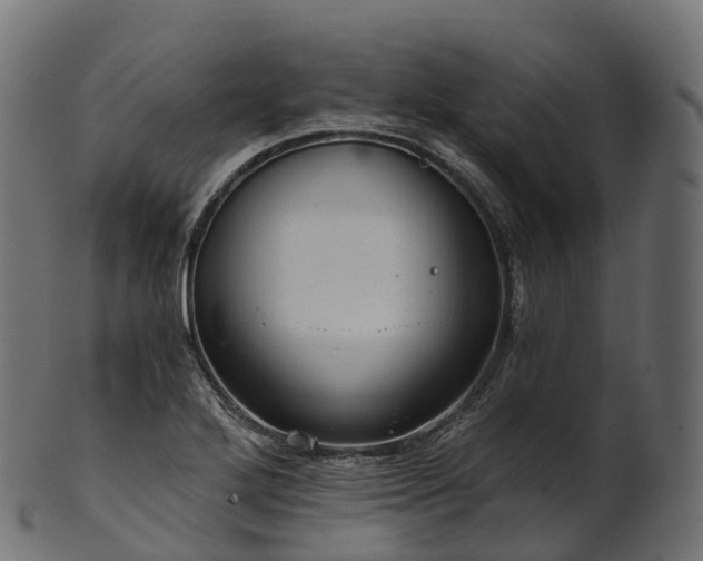 X0000101121272200807031755