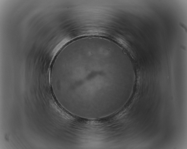X0000101121275200807031755