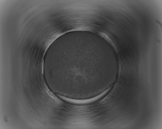 X0000101121276200807031755