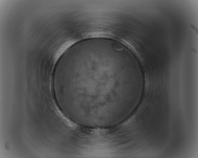 X0000101121277200807031755