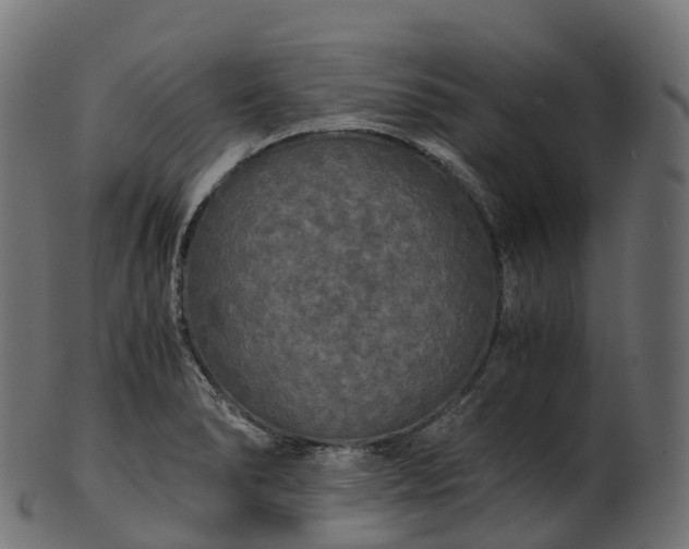 X0000101121278200807031755