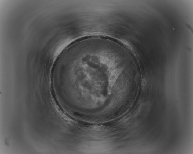 X0000101121279200807031755