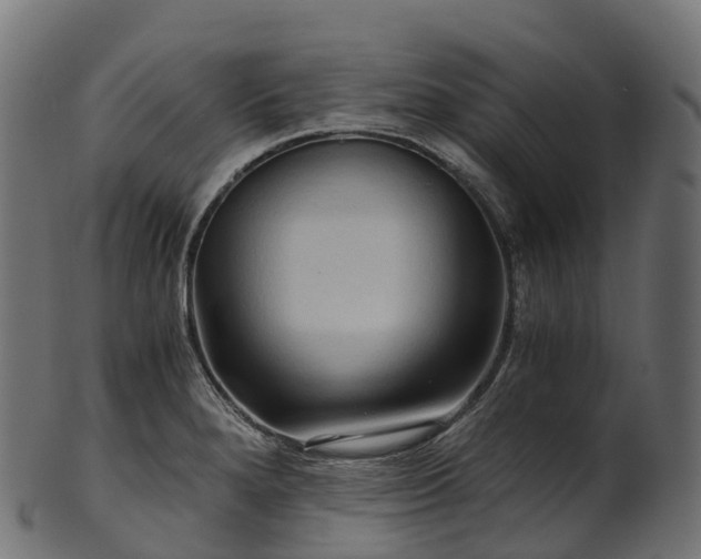 X0000101121280200807031755