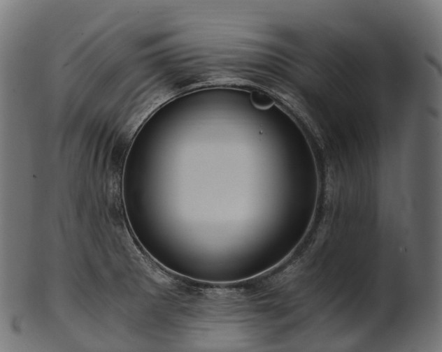 X0000101121281200807031755