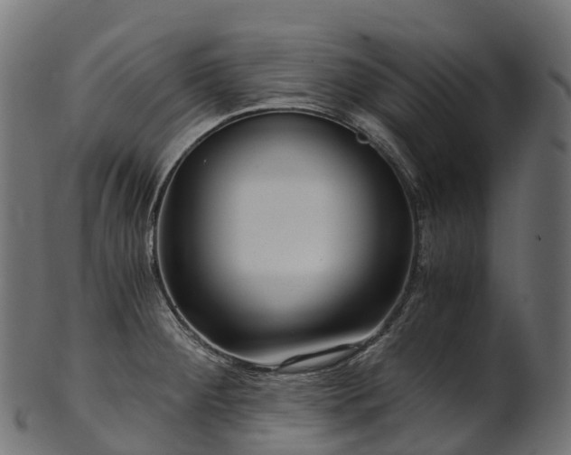 X0000101121284200807031755
