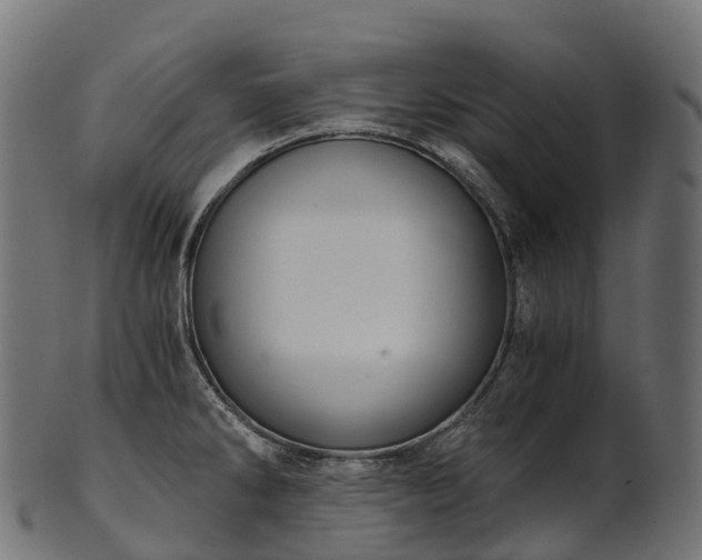 X0000101121286200807031755