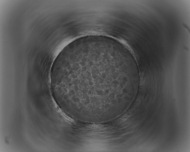 X0000101121287200807031755