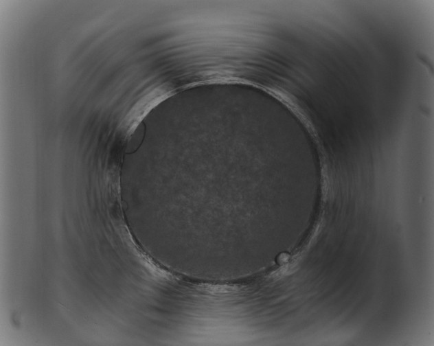 X0000101121289200807031755