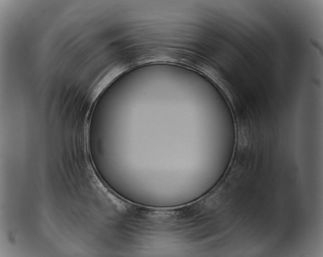 X0000101121290200807031755