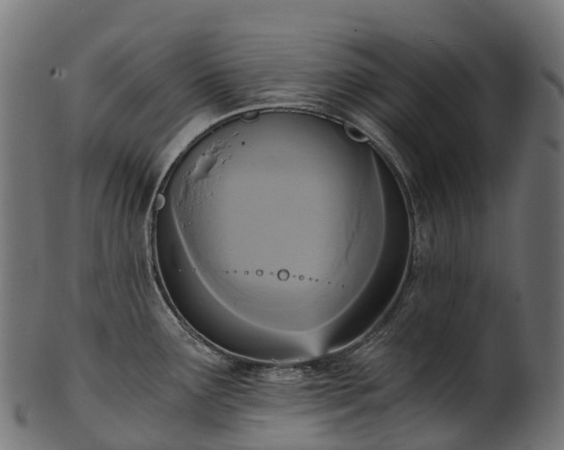 X0000101121291200807031755