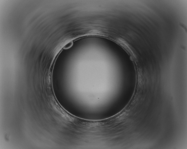 X0000101121292200807031755