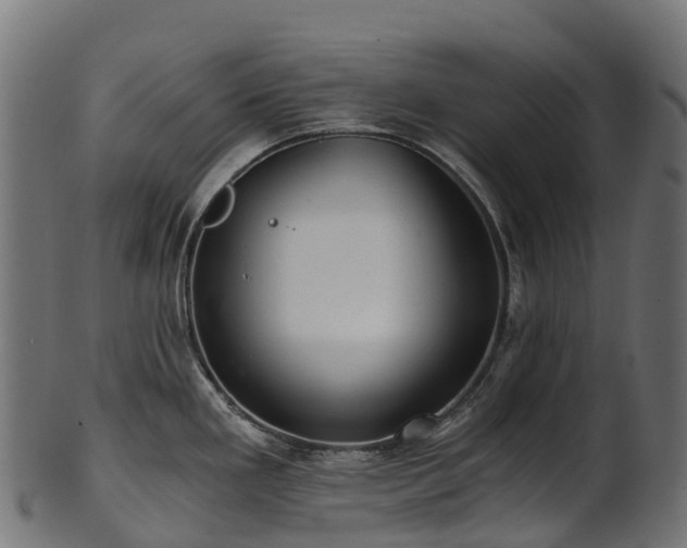 X0000101121293200807031755