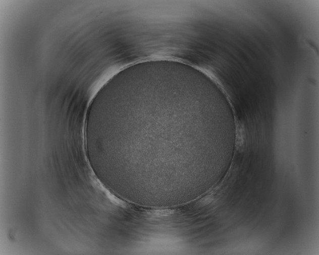 X0000101121294200807031755