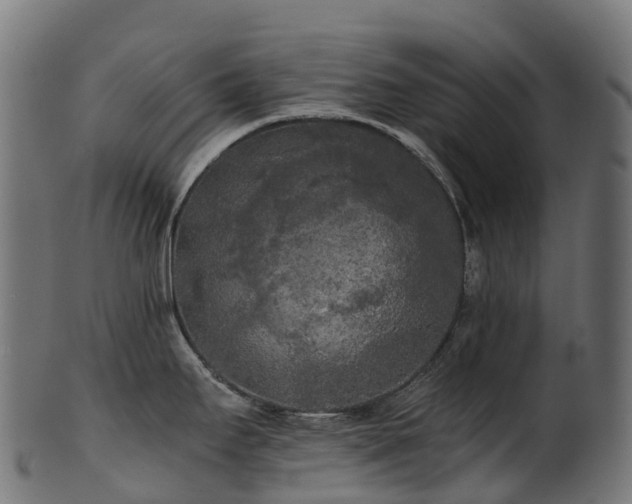 X0000101121295200807031755