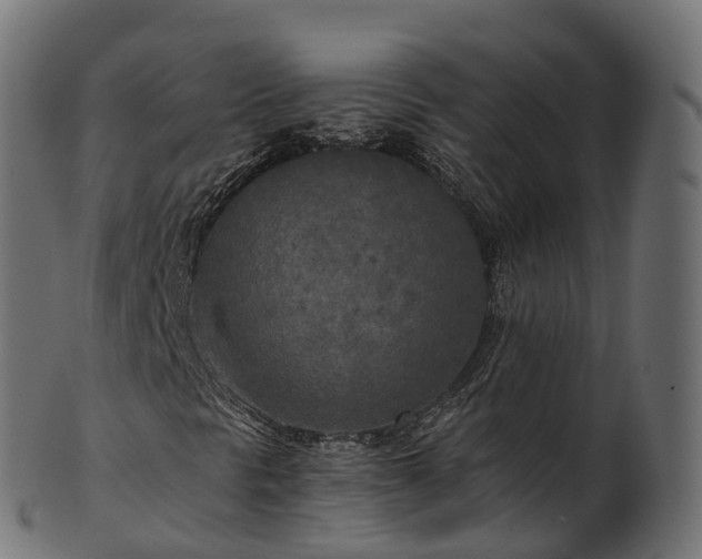 X0000101121297200807031754