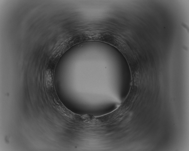 X0000101121298200807031754