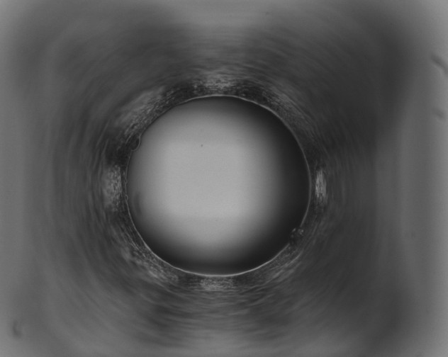 X0000101121299200807031754