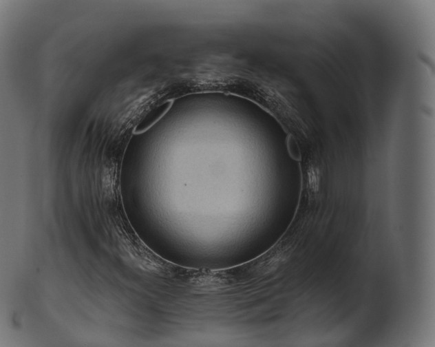 X0000101121300200807031754