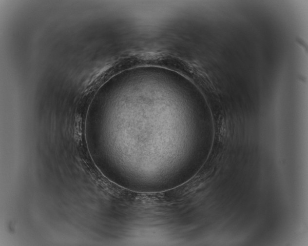 X0000101121301200807031754