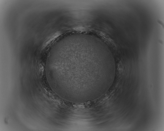 X0000101121302200807031754