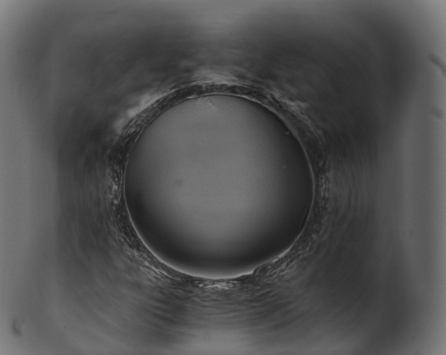 X0000101121303200807031754