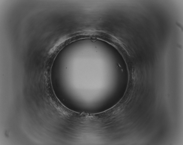 X0000101121304200807031754