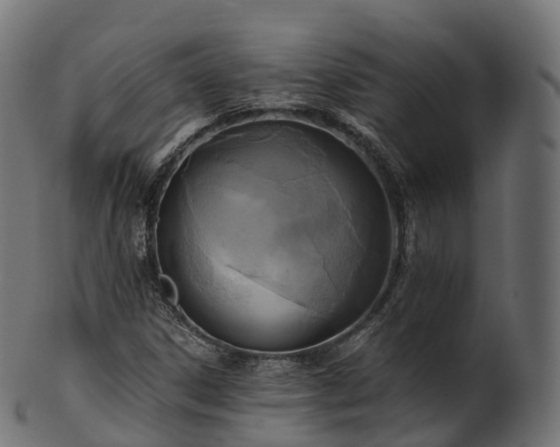 X0000101121306200807031754