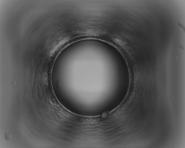 X0000101121307200807031754