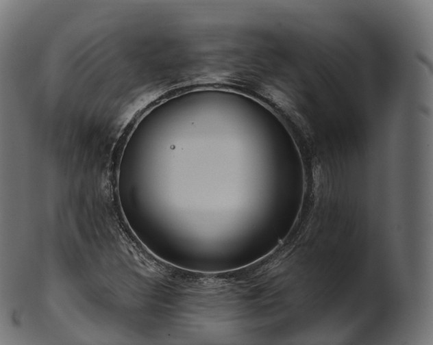 X0000101121308200807031754
