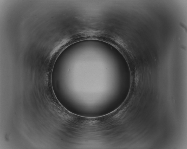 X0000101121309200807031754