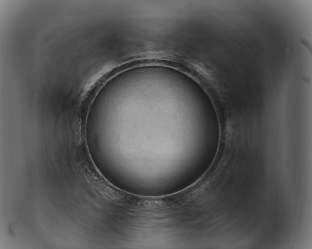 X0000101121310200807031754