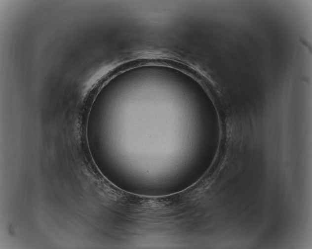 X0000101121311200807031754