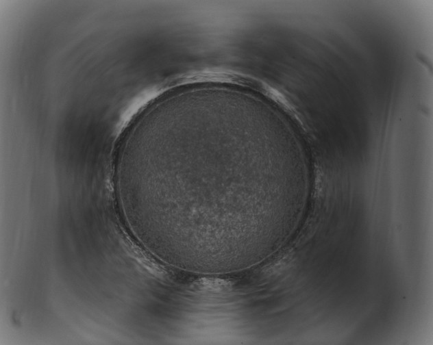 X0000101121312200807031754