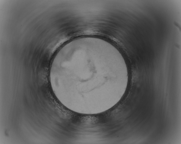 X0000101121314200807031754