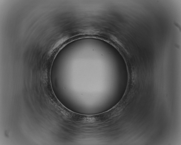 X0000101121315200807031754
