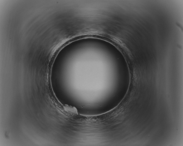 X0000101121316200807031754