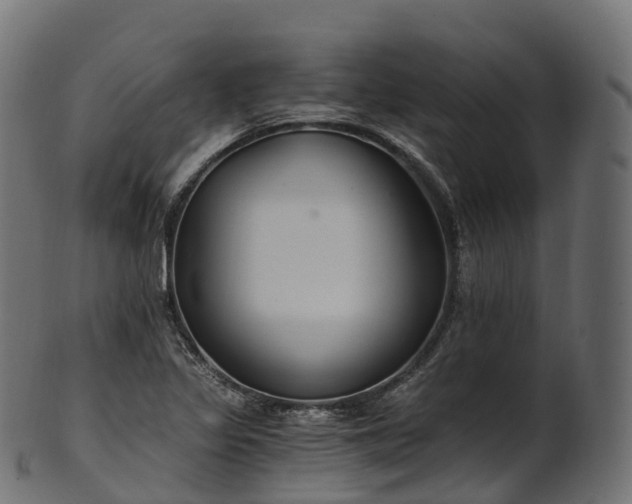 X0000101121317200807031754