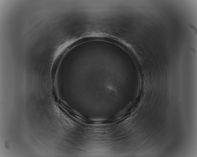 X0000101121319200807031754