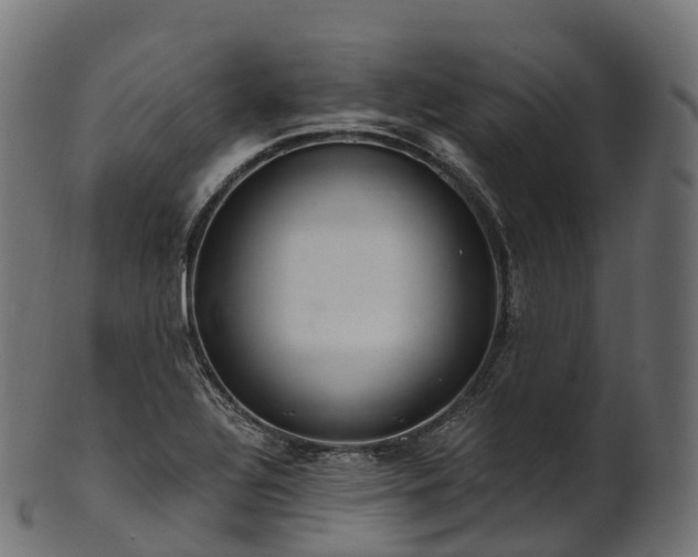 X0000101121320200807031754