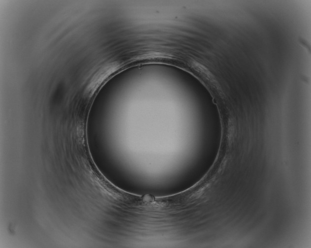 X0000101121321200807031754