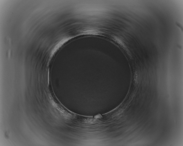 X0000101121323200807031754