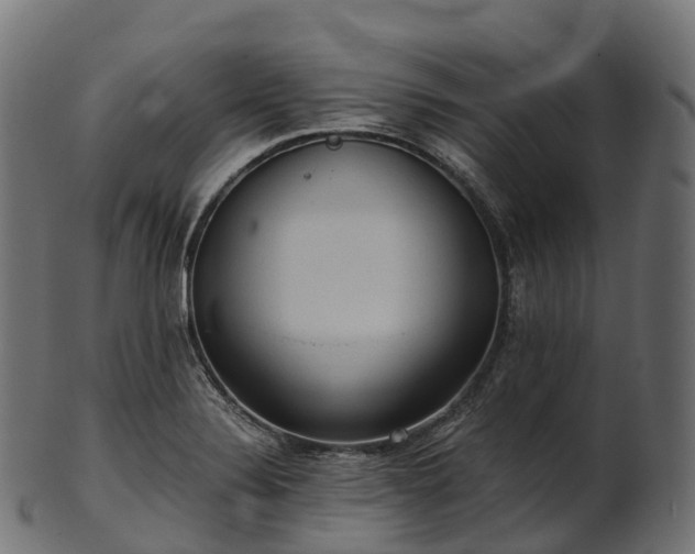 X0000101121324200807031754
