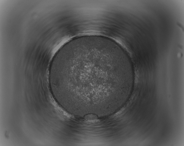 X0000101121325200807031754