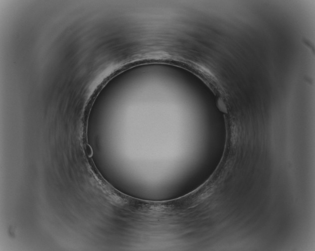 X0000101121326200807031754