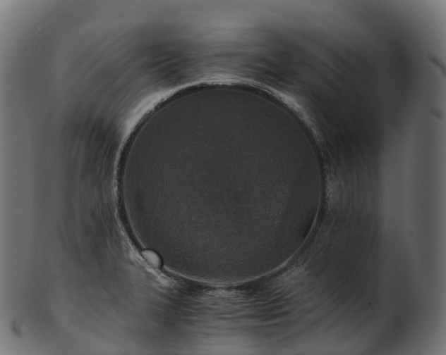 X0000101121327200807031754