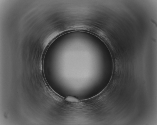 X0000101121328200807031754