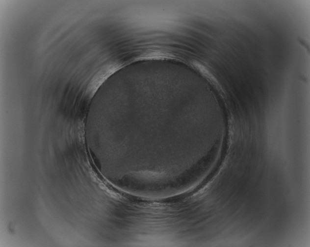 X0000101121329200807031754