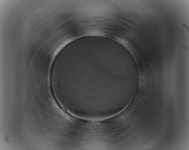 X0000101121331200807031754